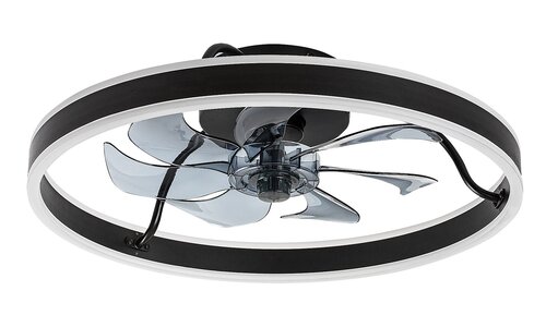 Fanfy (71337)