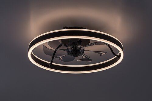 Fanfy (71337)
