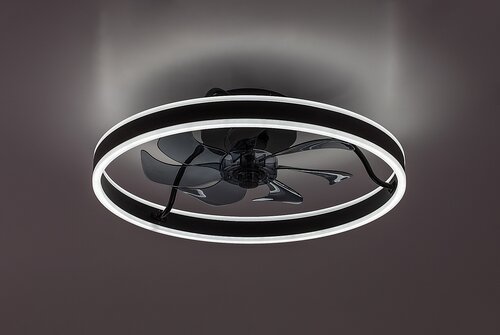 Fanfy (71337)
