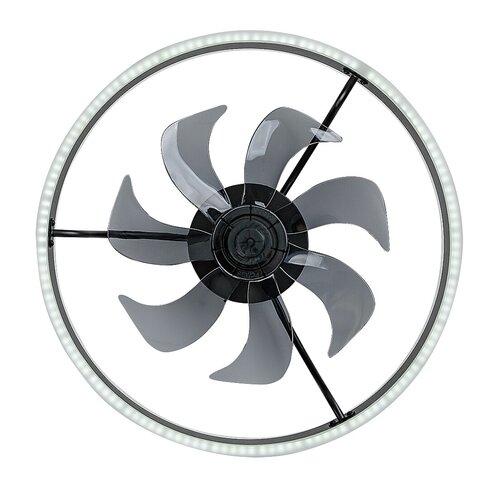 Fanfy (71337)