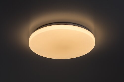Danny2 (71442)