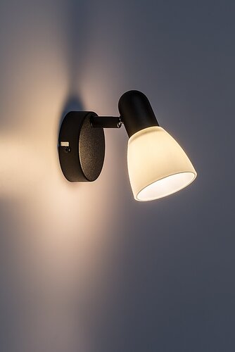 Soma (73091)