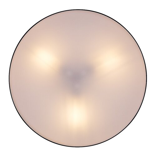 Dolen (75066)