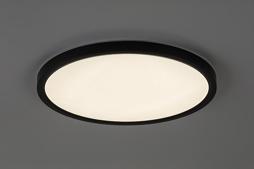 Lautrec (75084)
