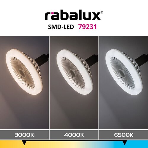 SMD-LED (79231)