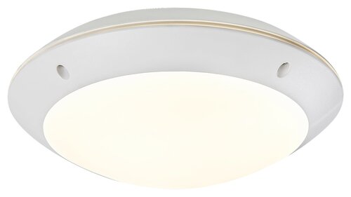 Lentil LED (8554)